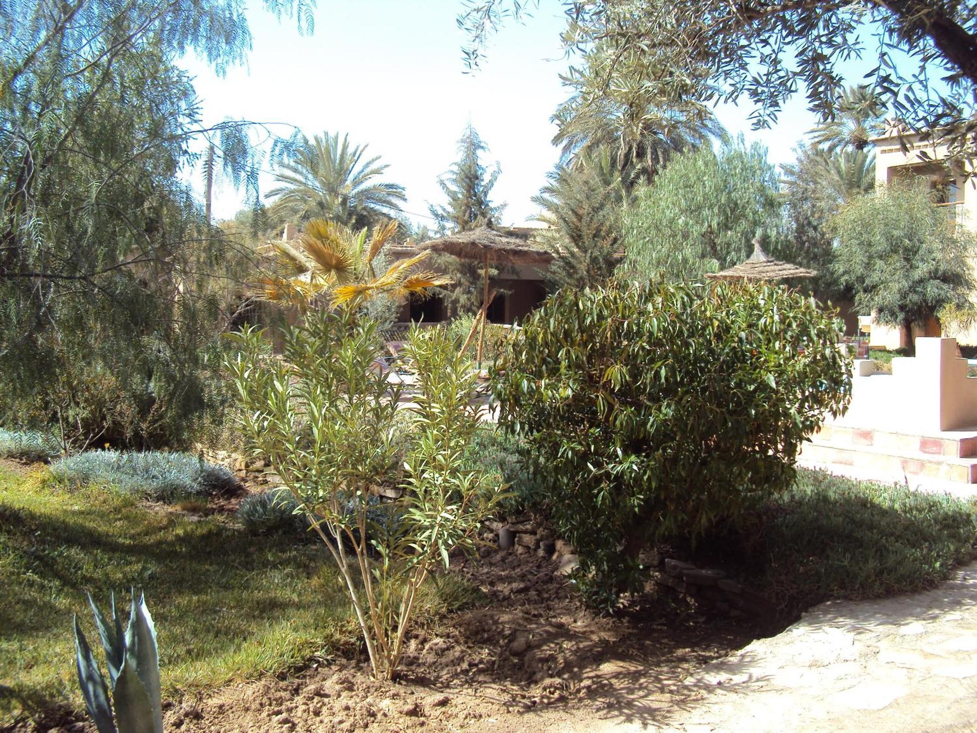 Bed and Breakfast Dar Lorkam Skoura Exteriér fotografie