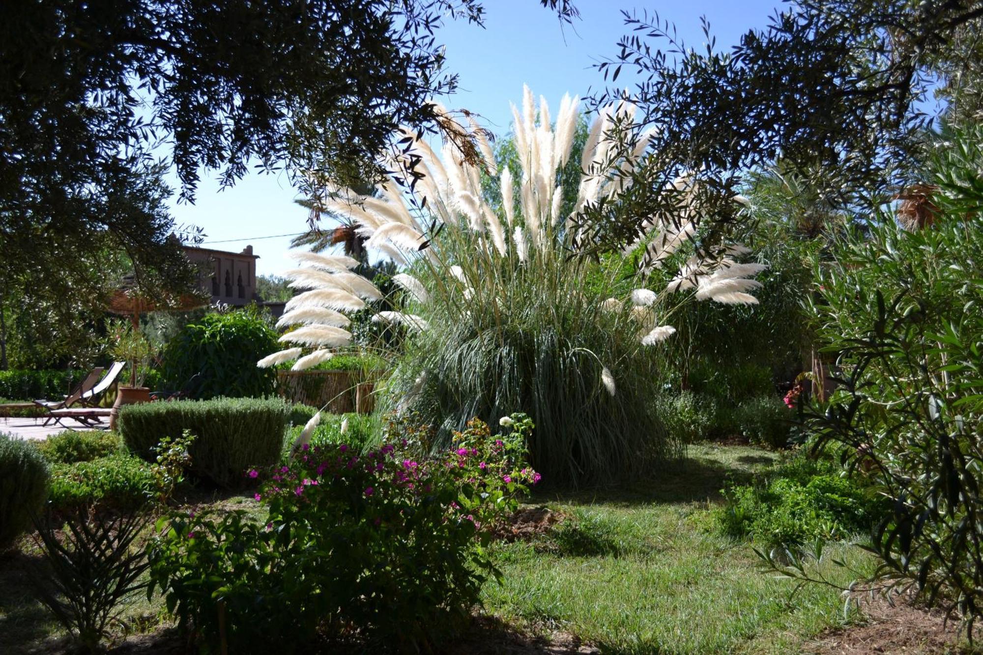 Bed and Breakfast Dar Lorkam Skoura Exteriér fotografie