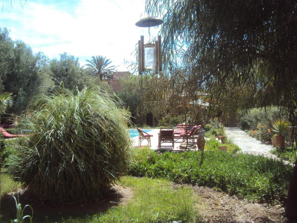 Bed and Breakfast Dar Lorkam Skoura Exteriér fotografie