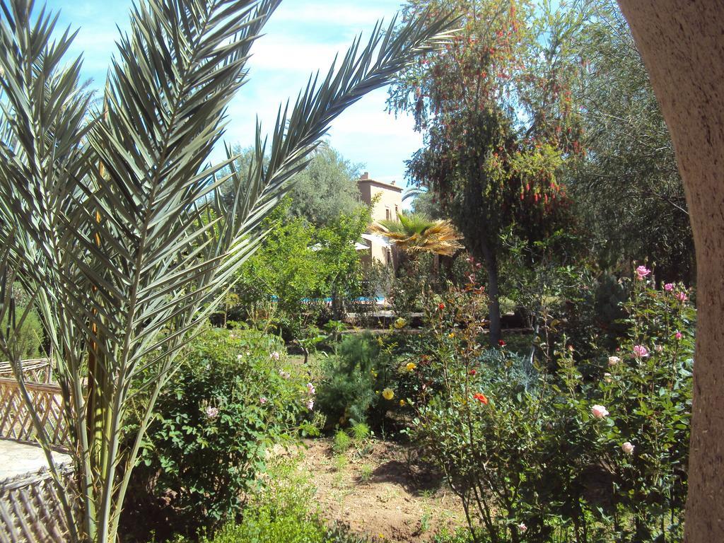 Bed and Breakfast Dar Lorkam Skoura Exteriér fotografie