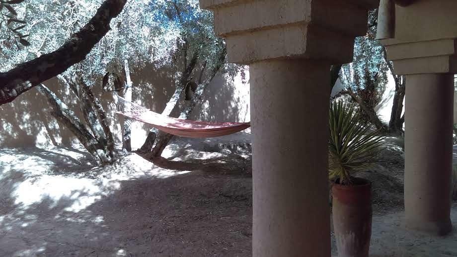 Bed and Breakfast Dar Lorkam Skoura Exteriér fotografie