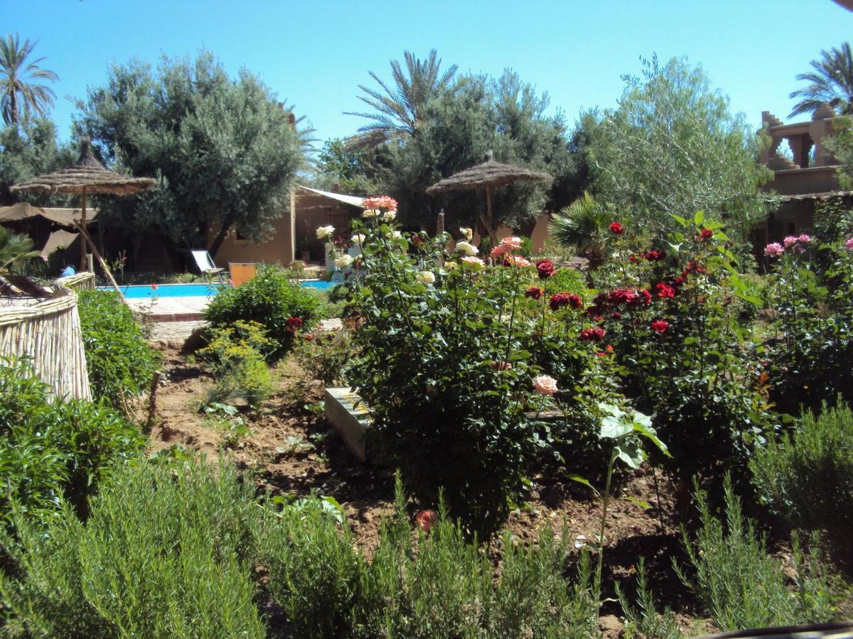 Bed and Breakfast Dar Lorkam Skoura Exteriér fotografie